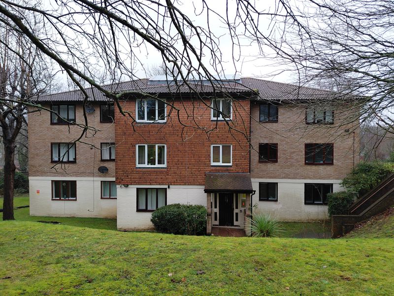 Main Image